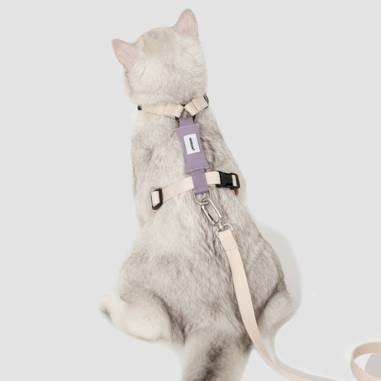 Valley Series Cat H-Shape Harness and Leash Set [Milk Brown with Purple]