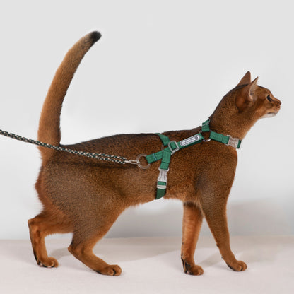 BOBO Series Freedom Exploration Cat H-Shape Harness and Leash Set [Turquoise Green]