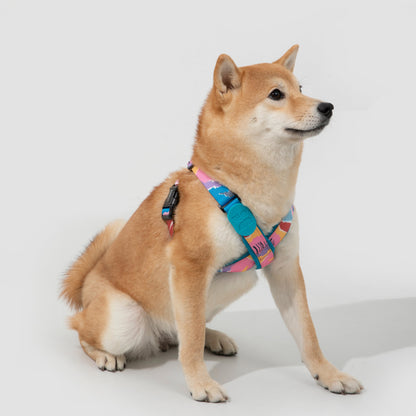 Colorful PRO Series X Harness [Mountain and River Impressions]
