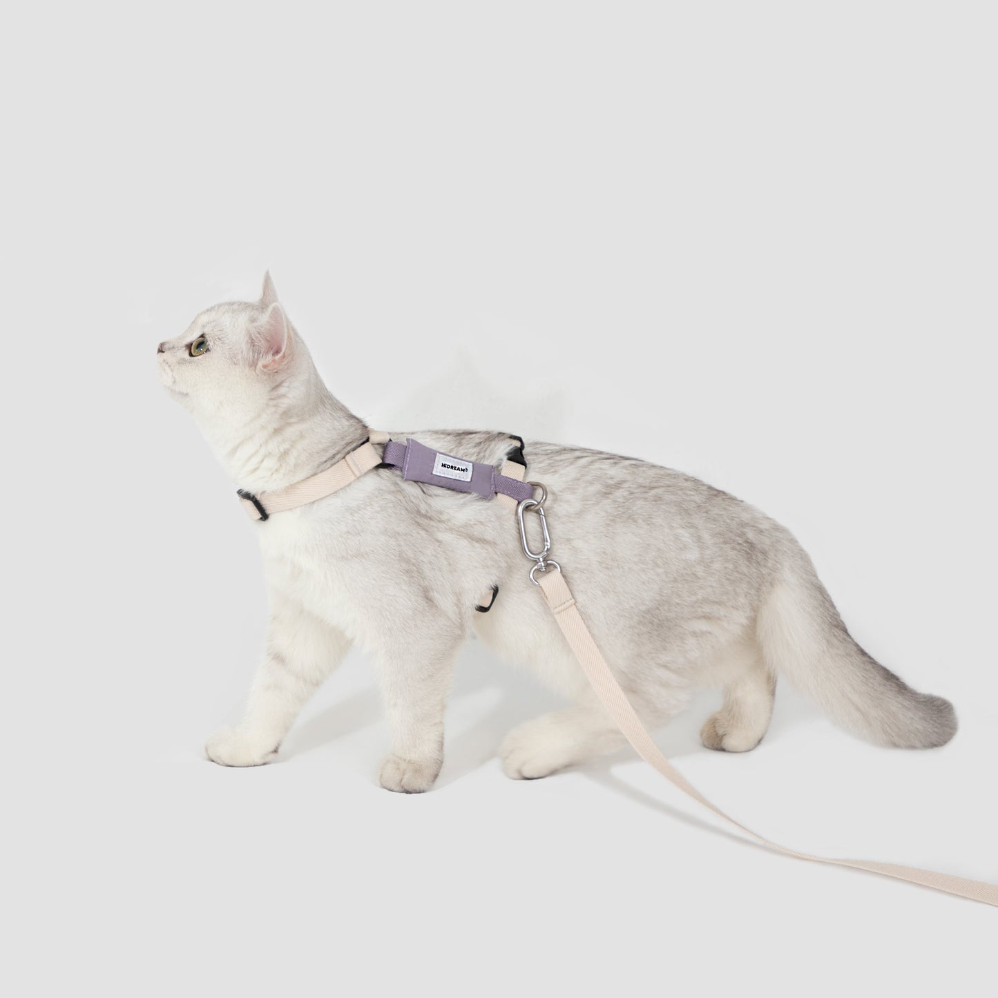 Valley Series Cat H-Shape Harness and Leash Set [Milk Brown with Purple]
