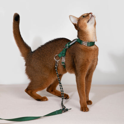 BOBO Series Freedom Exploration Cat H-Shape Harness and Leash Set [Turquoise Green]