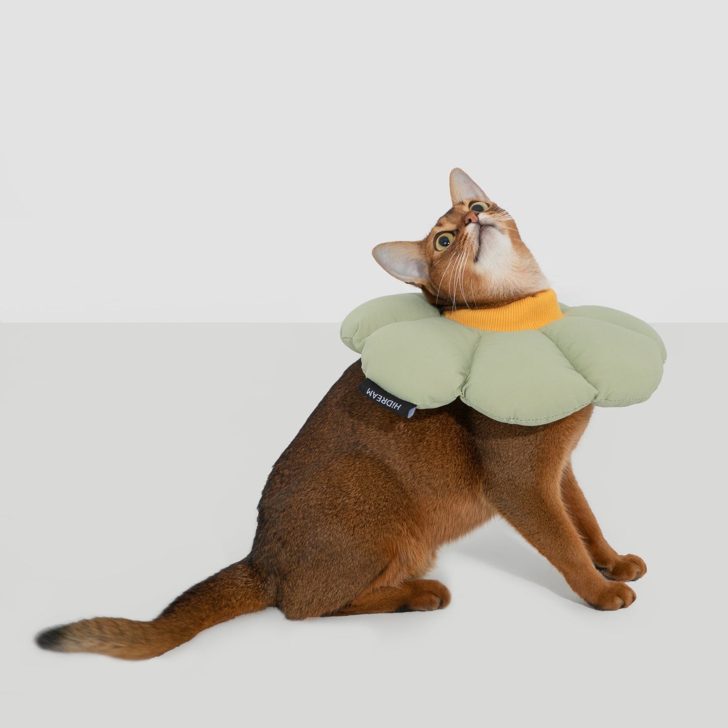 Flower Shaped Elizabethan Rings Dog & Cat Recovery Collar [Wasong Green]
