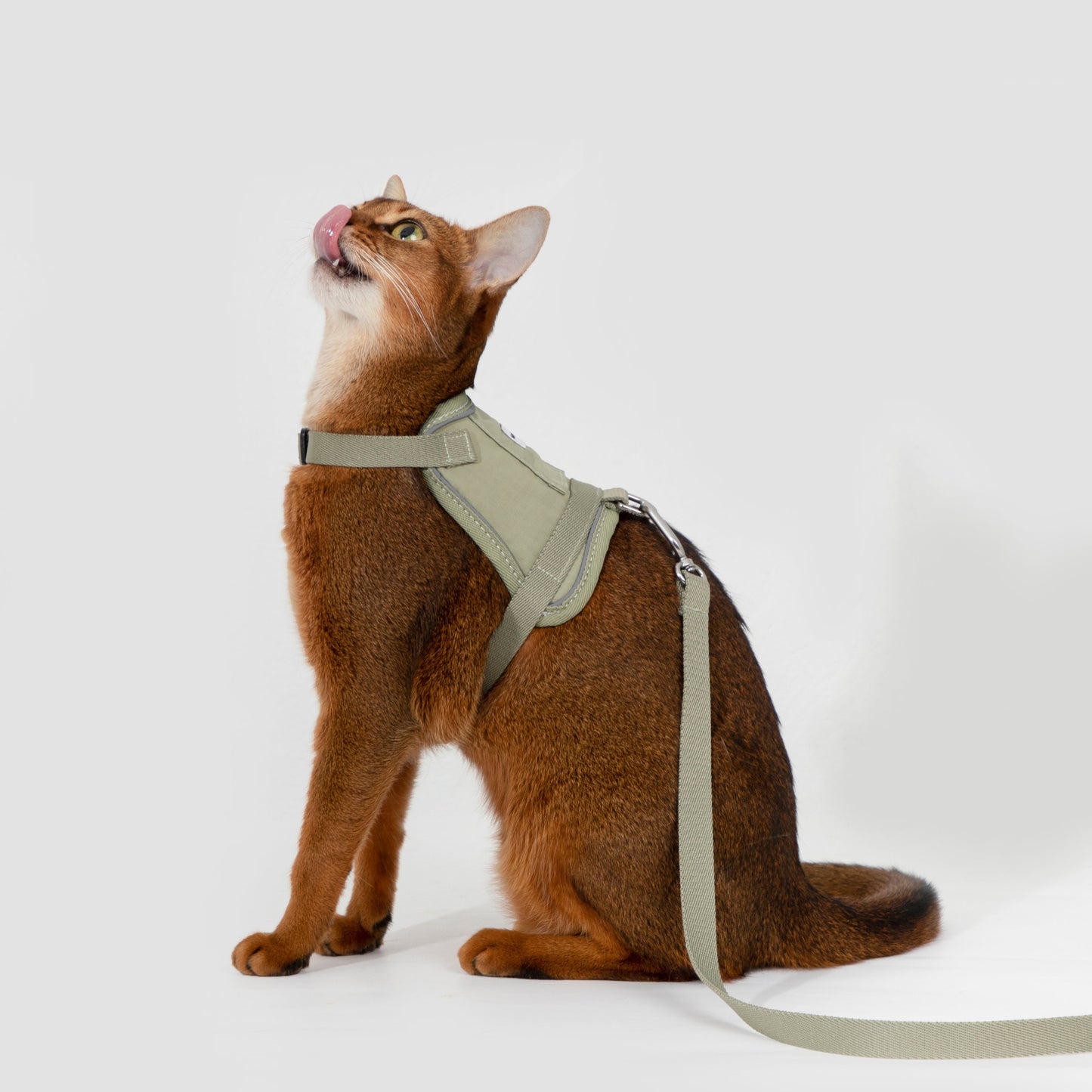 Valley Series Vest-Style Cat Harness and Leash Set [Olive Green]