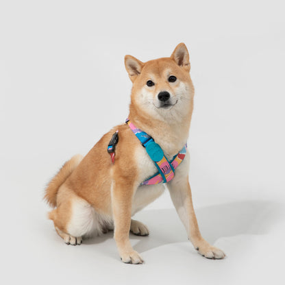 Colorful PRO Series X Harness [Mountain and River Impressions]