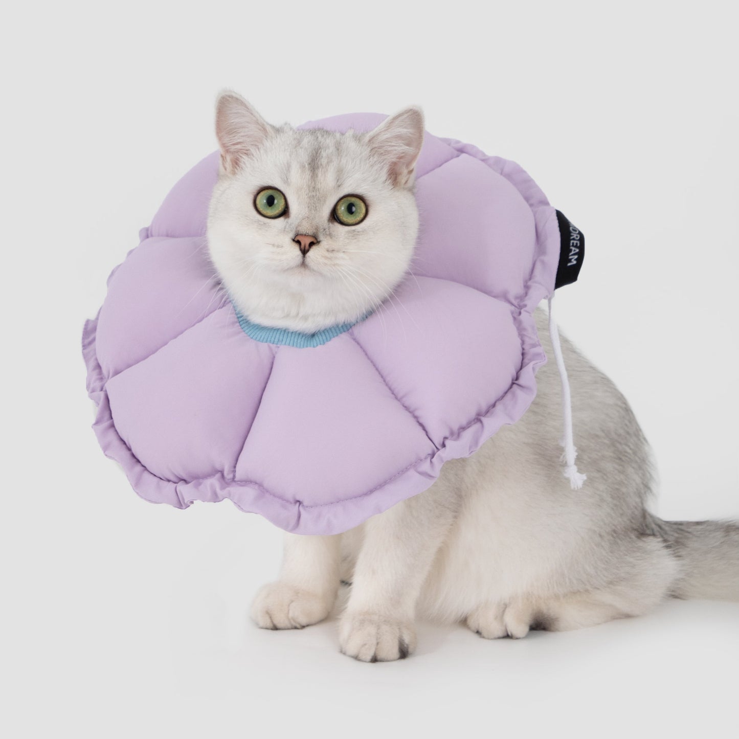 Flower Shaped Elizabeth Collar for Dog & Cat [Wisteria Purple]