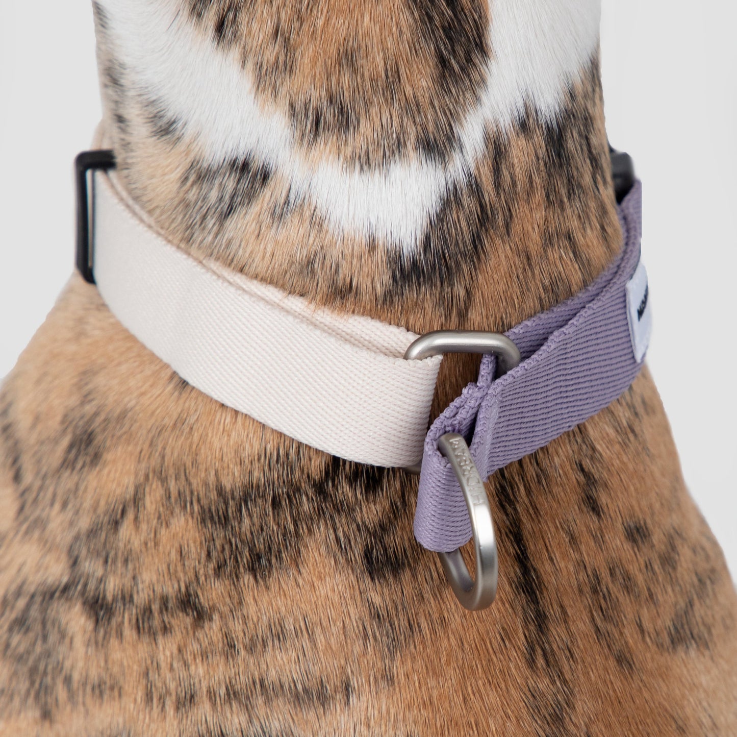 Valley Series Dog Half P-chain Training Collar [Milk Purple]