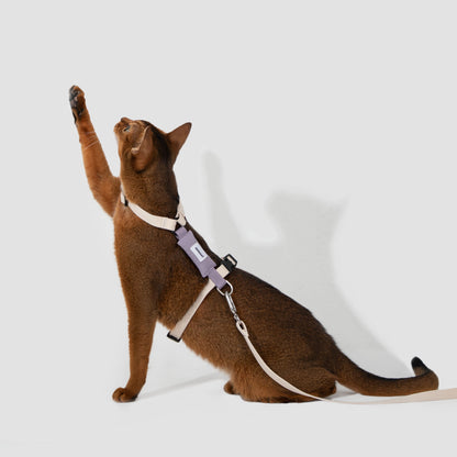 Valley Series Cat H-Shape Harness and Leash Set [Milk Brown with Purple]