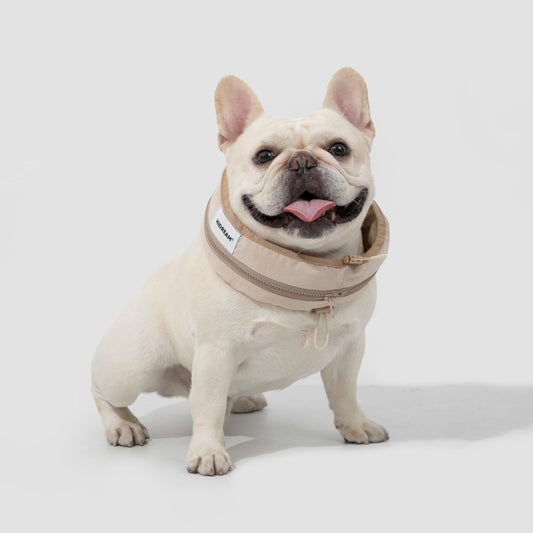 Pet Ice Cooling Collar [Milk Brown]