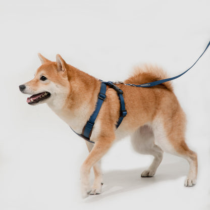 BOBO Series Leather X-shape Dog Harness [Cloud Mountain Blue]