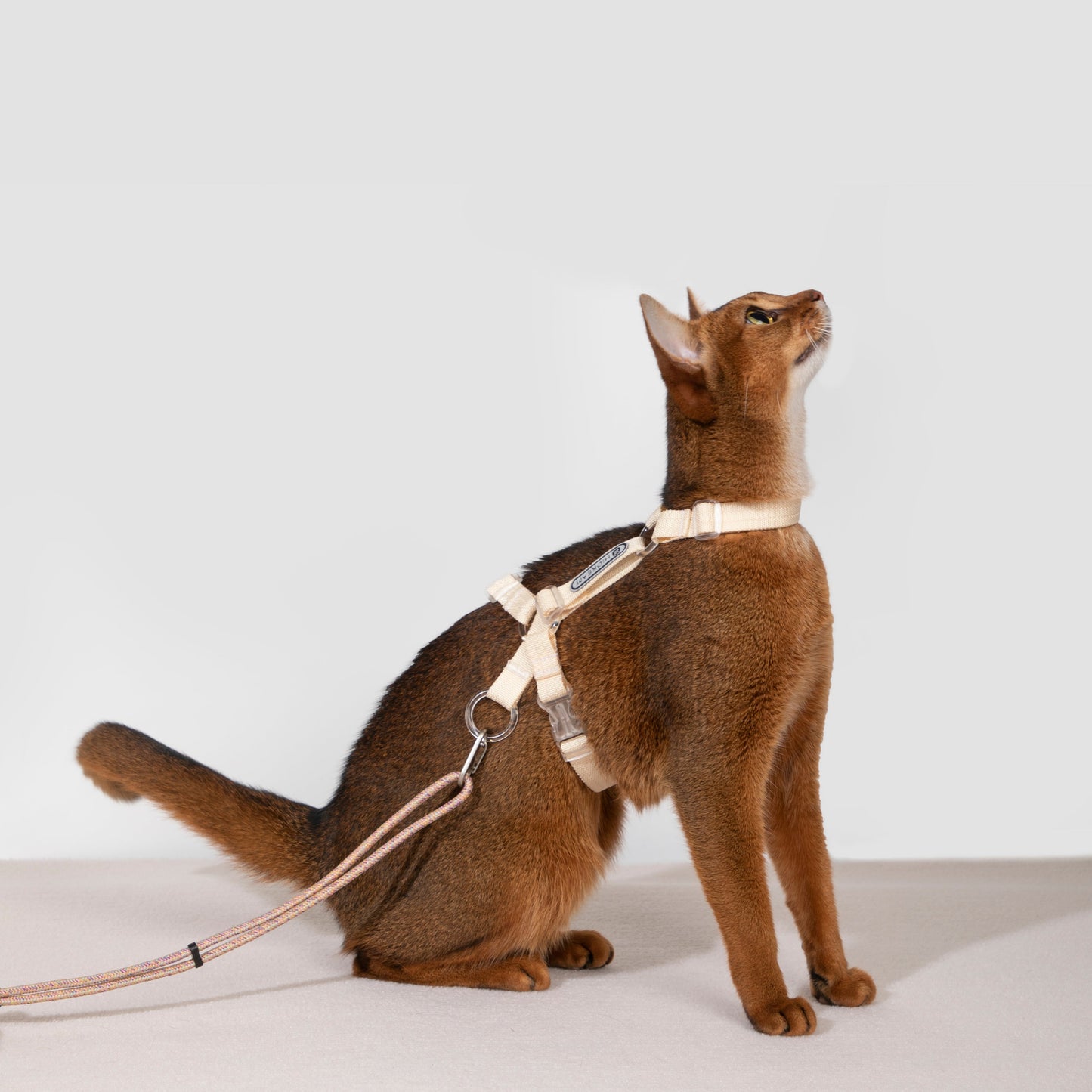 BOBO Series Freedom Exploration Cat H-Shape Harness and Leash Set [Camellia White]