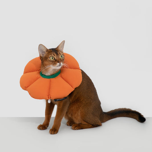 Flower Shaped Elizabethan Rings Dog & Cat Recovery Collar [Pumpkin Orange]
