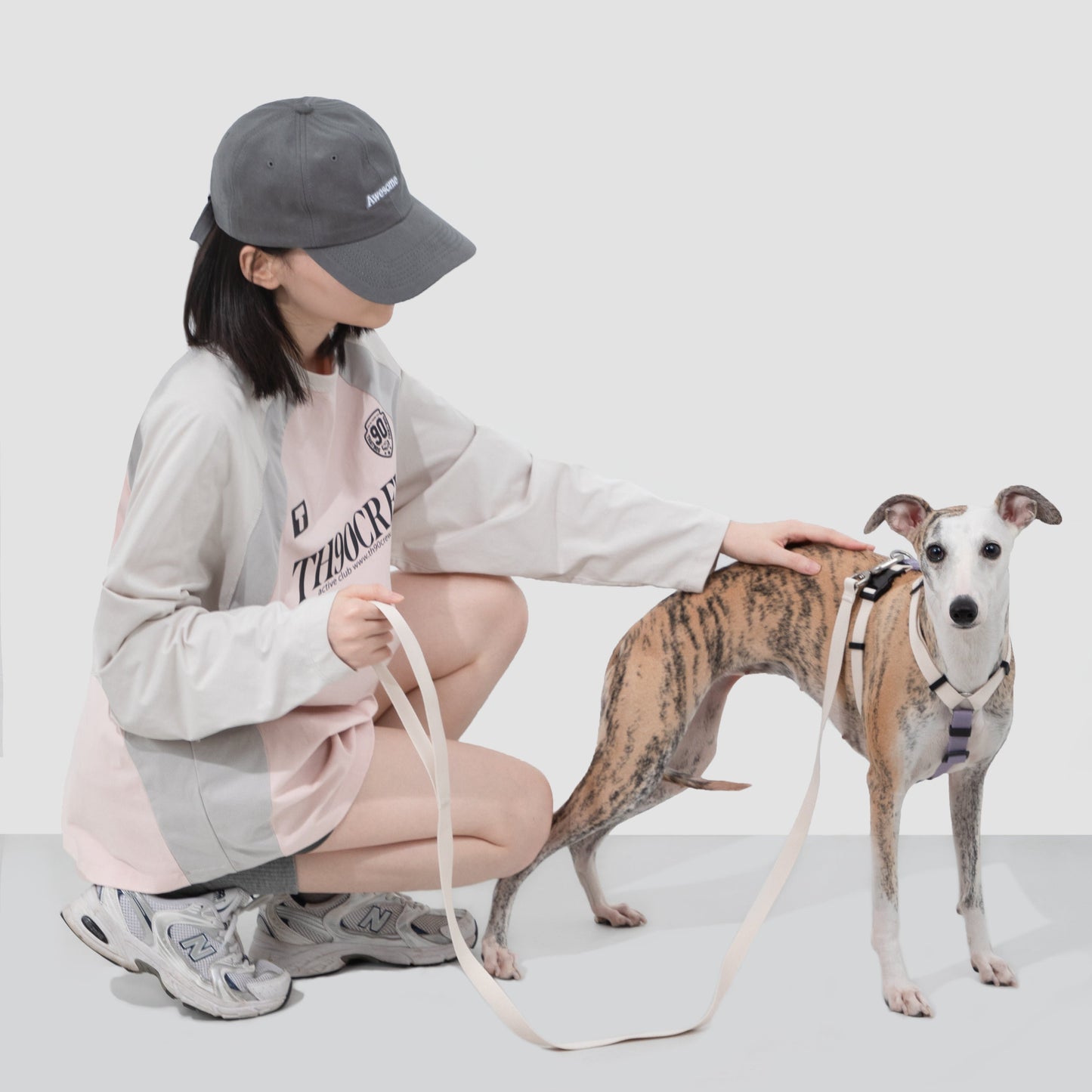 Valley Series Dog H-shaped Harness & Leash Set [Milk Brown with Purple]