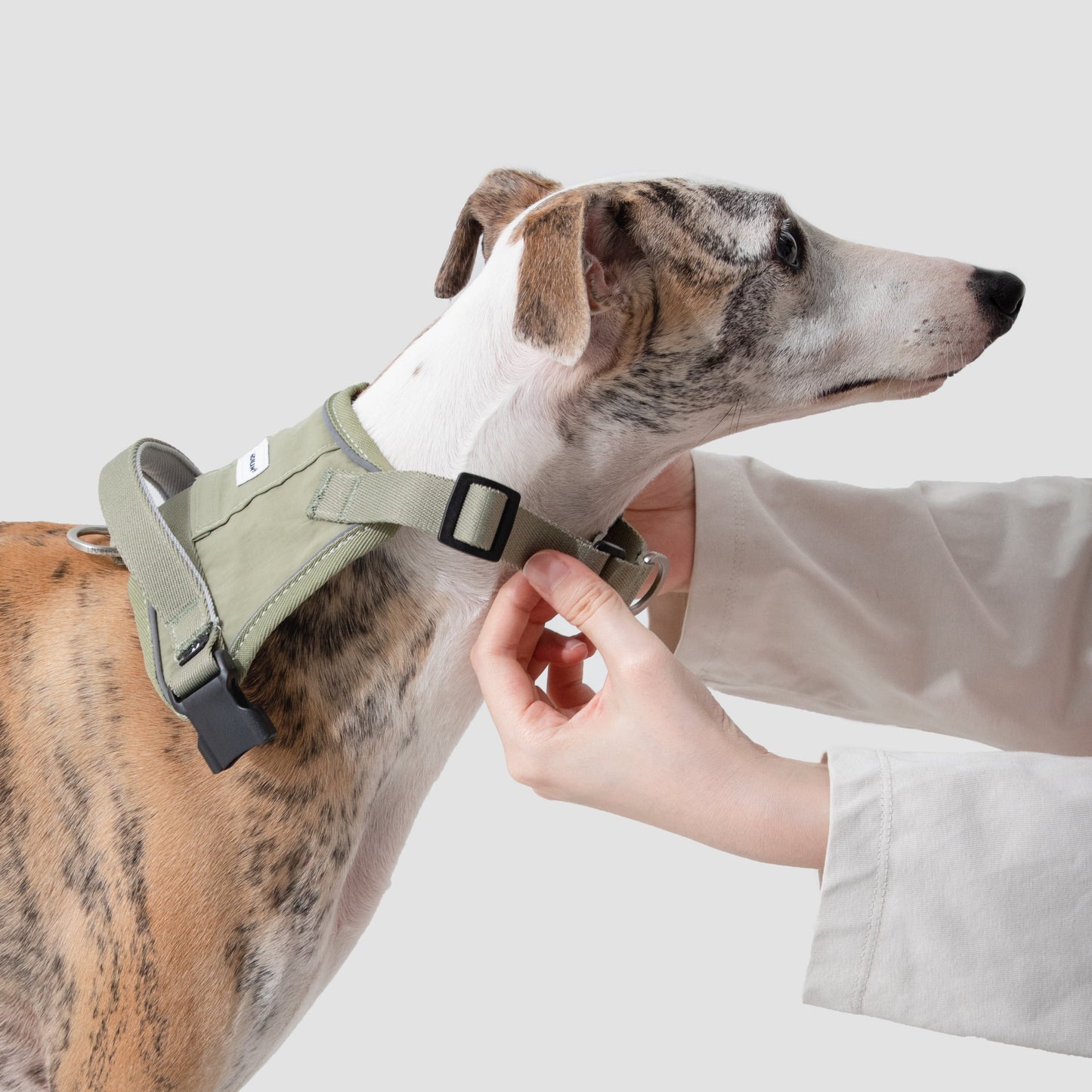 Valley Series Quick Fit No-Pull Dog Harness [Milk Brown]
