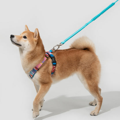 Colorful PRO Series X Harness [Mountain and River Impressions]