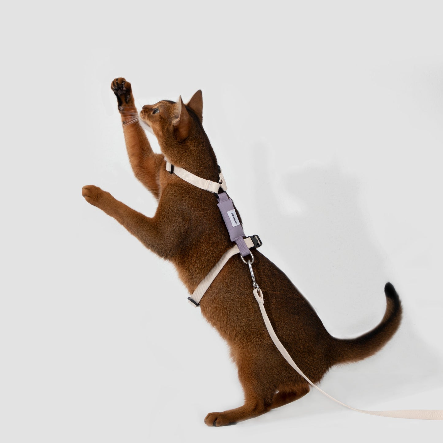 Valley Series Cat H-Shape Harness and Leash Set [Milk Brown with Purple]