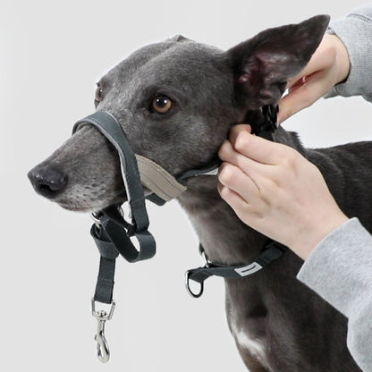 Valley Series Anti-Pulling Dog Muzzle [Buckwheat Grey]