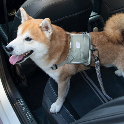 Valley Series Car Safety Seat Belt [Olive Green]
