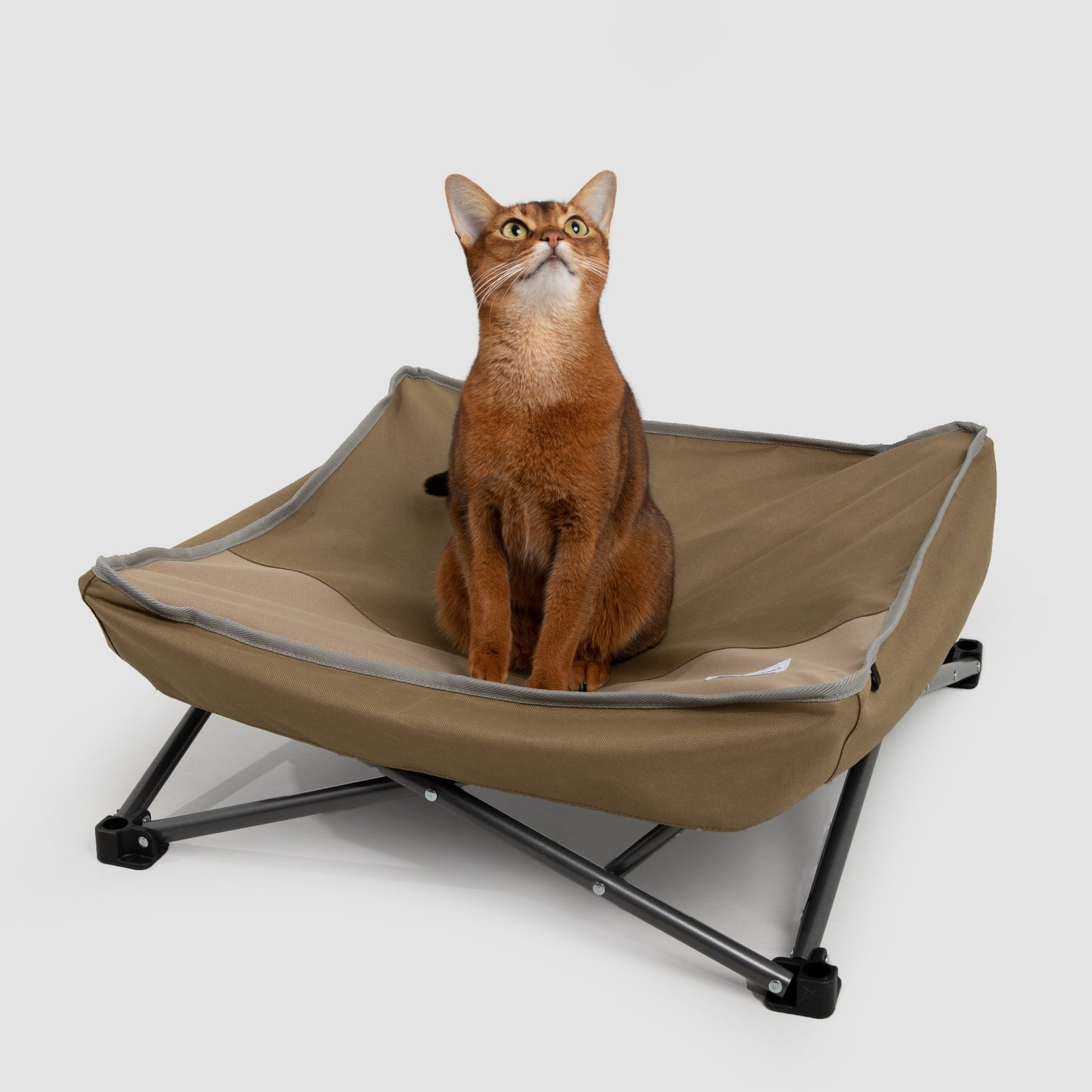 🐾 Portable Multi-Functional Camping Pet Bed [Mossy Brown]