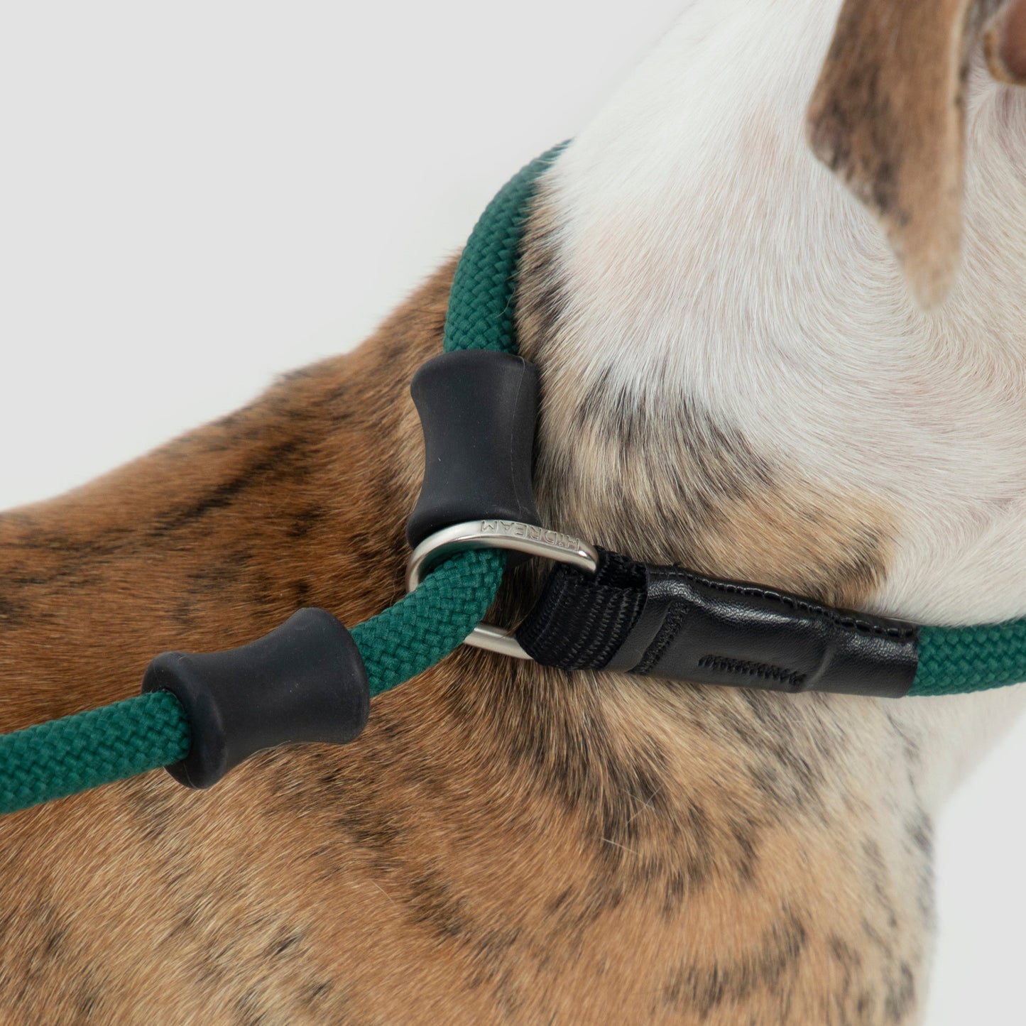 BOBO Series Leather Handle Integrated One Piece Dog Training P Rope [Turquoise Green]