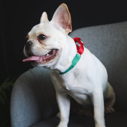 Rainbow Series Color-Blocking Cushioned Collar [Green & Red]