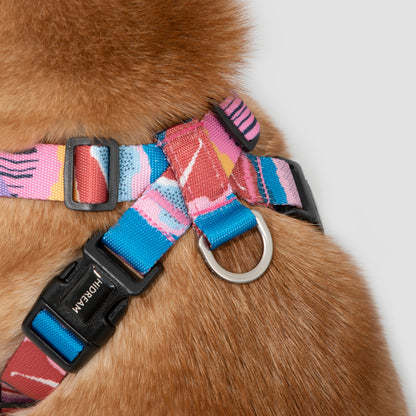 Colorful PRO Series X Harness [Mountain and River Impressions]