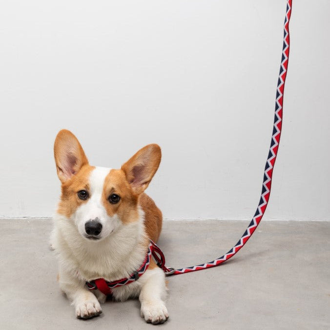 Rainbow Series Hands-Free Multi-Functional Dog Leash [Red]