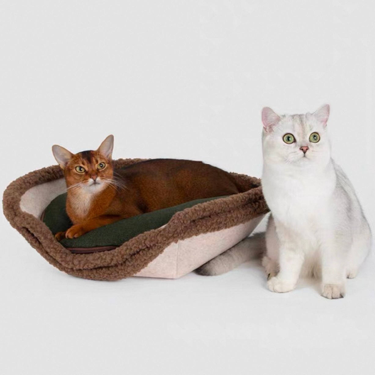Multi-Functional Tart Cat Bed [Brown]