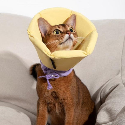 Soft Tapered Elizabethan Rings Dog & Cat Recovery Collar [Cheese Yellow]