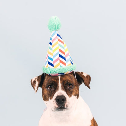 🎂 Barkday Party Hat Plush Dog Toy [Light Blue]