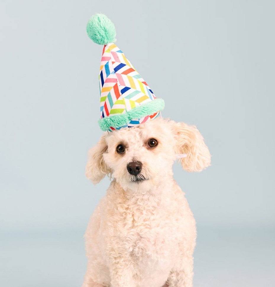 🎂 Barkday Party Hat Plush Dog Toy [Light Blue]