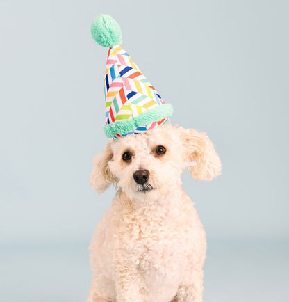 🎂 Barkday Party Hat Plush Dog Toy [Light Blue]