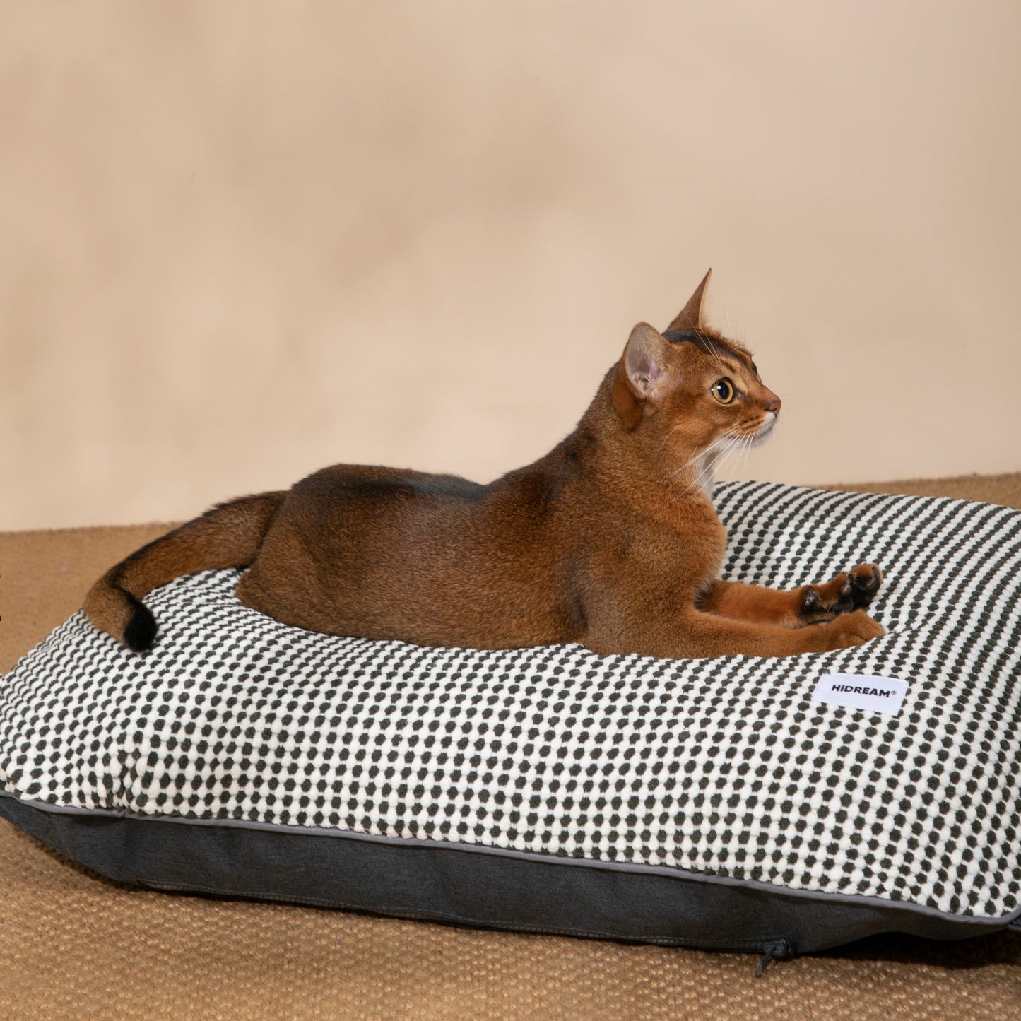 Premium Soft Pet Bed Mat [Star Gray Rock]