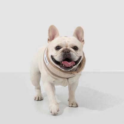 Pet Ice Cooling Collar [Milk Brown]