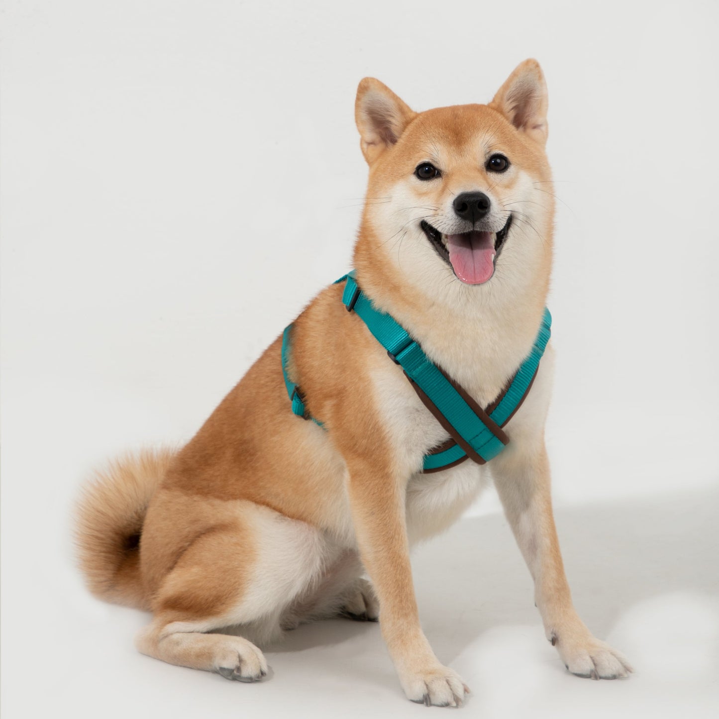 BOBO Series Leather X-shape Dog Harness [Aden Green]