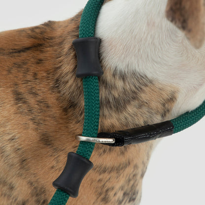 BOBO Series Leather Handle Integrated One Piece Dog Training P Rope [Turquoise Green]