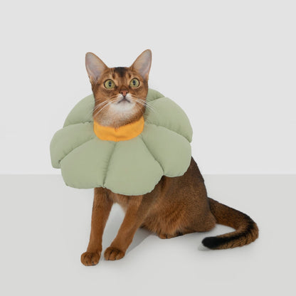 Flower Shaped Elizabethan Rings Dog & Cat Recovery Collar [Wasong Green]
