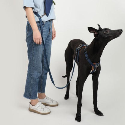 BOBO Series Leather Hands Free Multi-Function Cross Body Dog Leash [Cloud Mountain Blue]