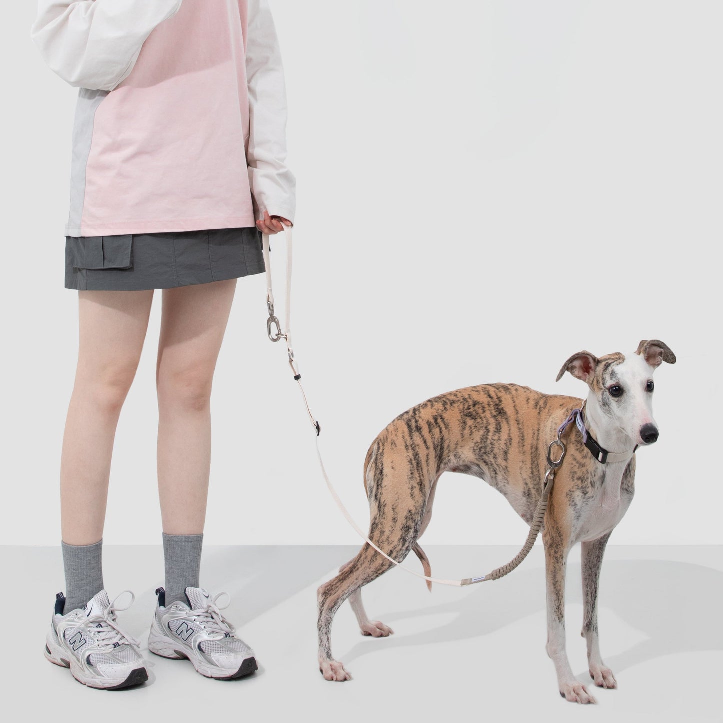 Valley Series Dog Half P-chain Training Collar [Milk Purple]
