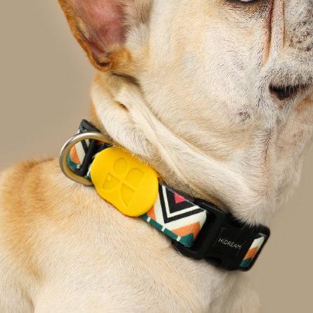 Colorful Series Dog Collar [Totem]