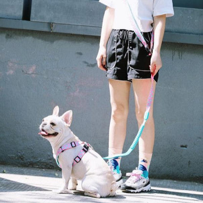 Colorful Pro Series Multipurpose Buffer Dog Leash [Bobby]