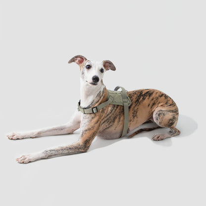 Valley Series Quick Fit No-Pull Dog Harness [Olive Green]