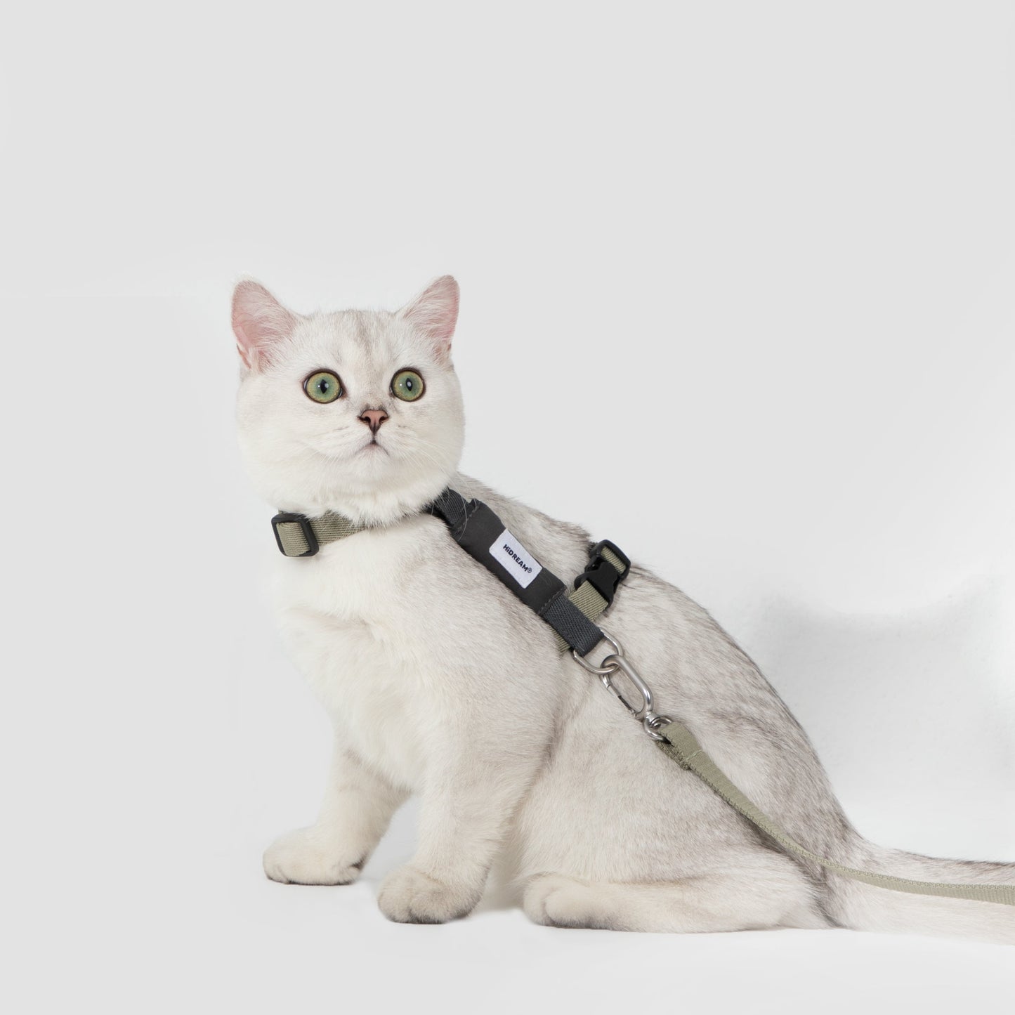 Valley Series Cat H-Shape Harness and Leash Set [Green with Gray]