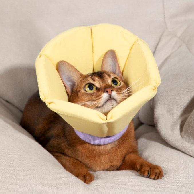 Soft Tapered Elizabethan Rings Dog & Cat Recovery Collar [Cheese Yellow]
