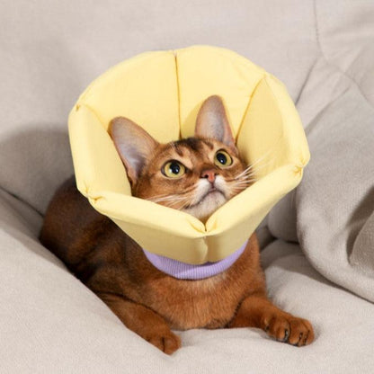 Soft Tapered Elizabethan Rings Dog & Cat Recovery Collar [Cheese Yellow]