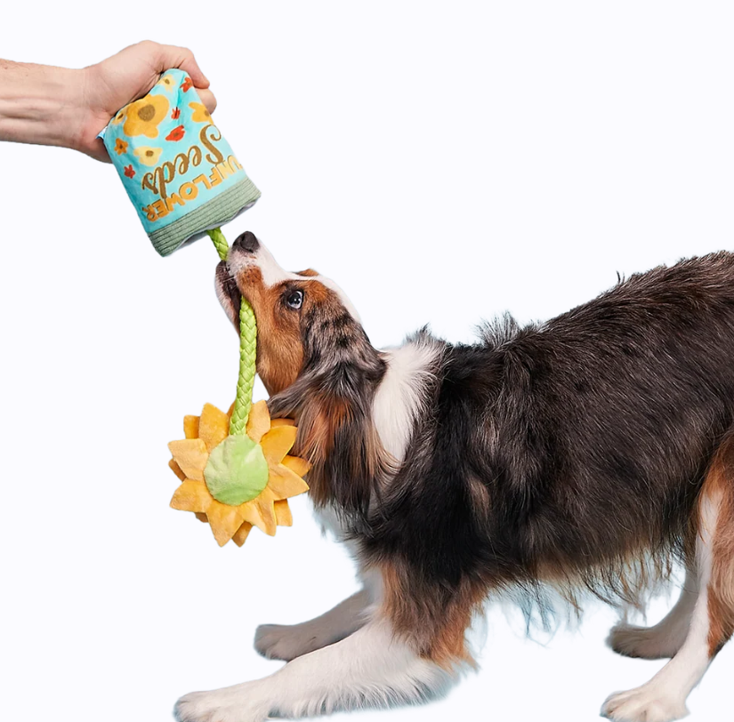 🌻Funflower Seeds Tug Toy