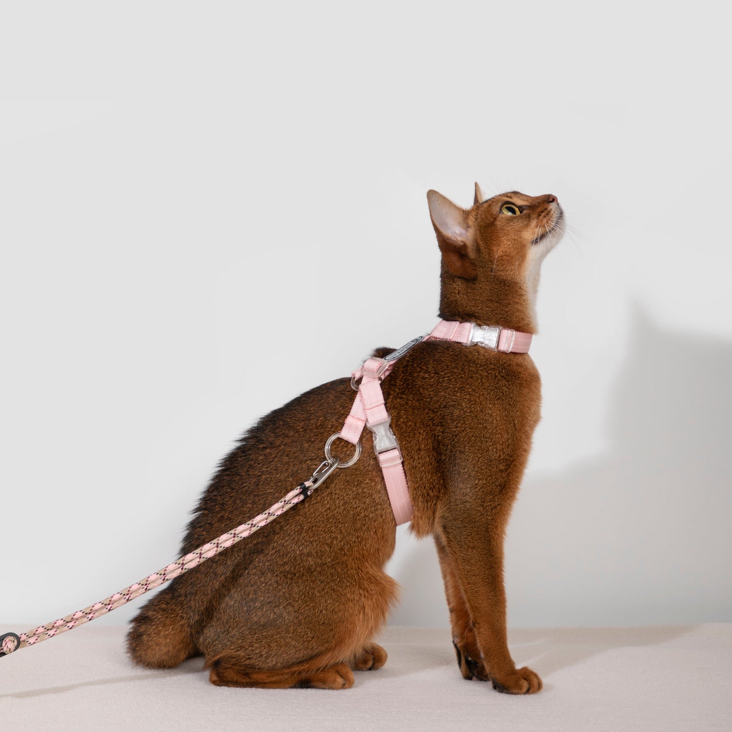 BOBO Series Freedom Exploration Cat H-Shape Harness and Leash Set [Beetroot Pink]