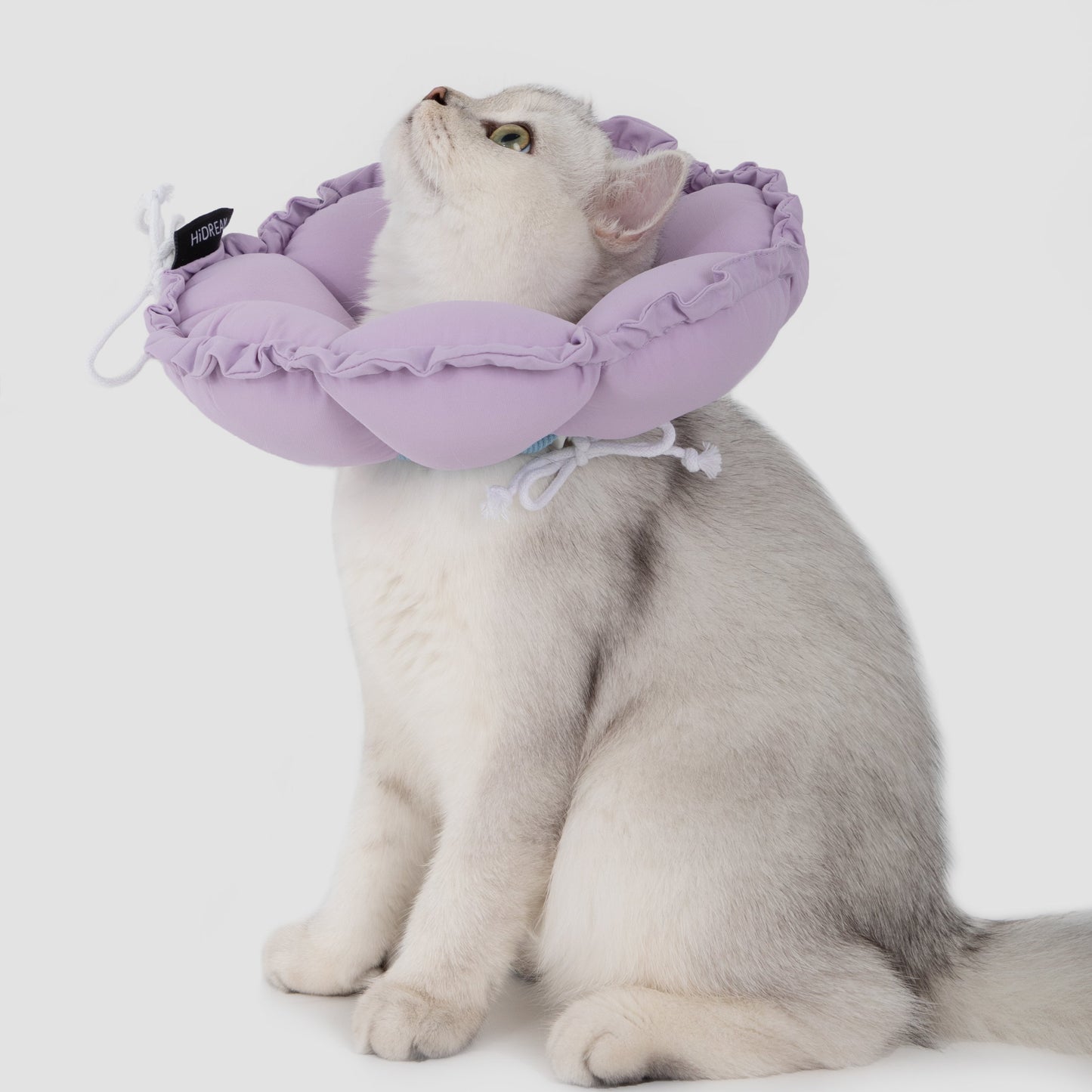 Flower Shaped Elizabeth Collar for Dog & Cat [Wisteria Purple]