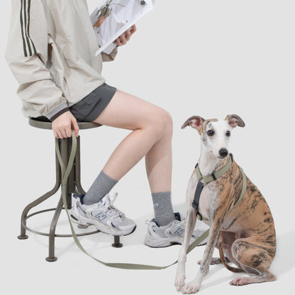 Valley Series Dog H-shaped Harness & Leash Set [Green with Gray]