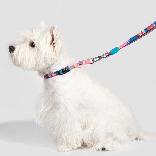 Colorful Pro Series Half P-chain Training Collar [Mountain and River Impressions]