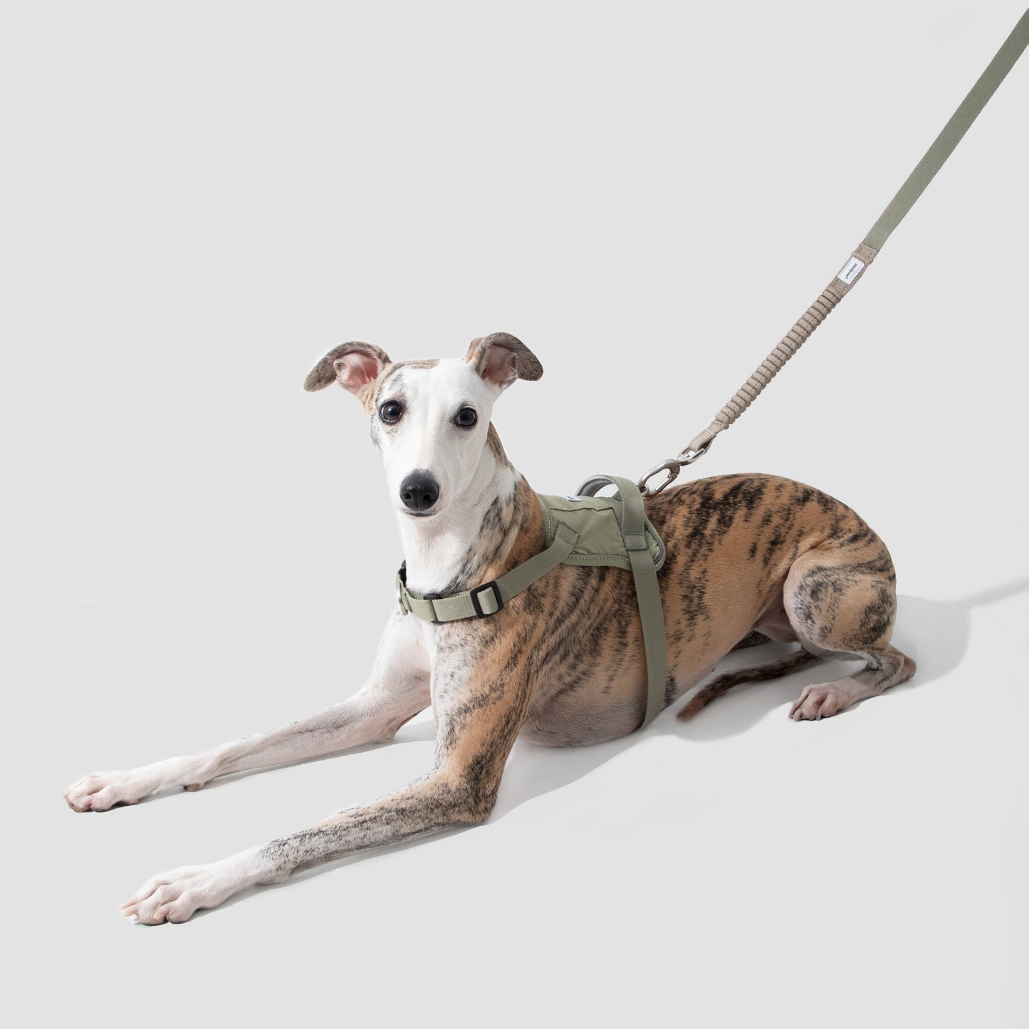Valley Series Quick Fit No-Pull Dog Harness [Olive Green]